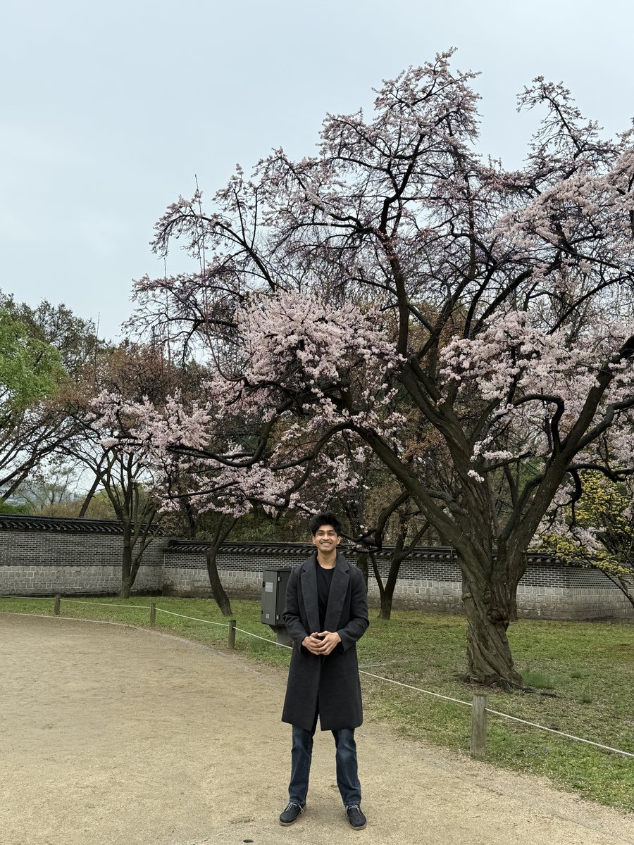 Ayush Patel under spring cherry blossoms at a royal palace in Seoul, South Korea